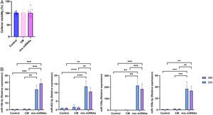 Cellular viability and uptake of miRNAs. (A) Cellular viability of THP-1 cells exposed to miRNAs or controls (for 24h) assessed by MTT assay. Values are means±SD (n≥3). (B) Cellular uptake of selected broccoli-derived miRNAs. THP-1 cells were exposed with exogenous miRNAs for 24 or 48h. Values are means±SD (n≥3). **p<0.01, ***p<0.001. CM, control mimic.