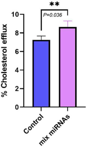 Cellular cholesterol efflux to HDL in THP-1 cells transfected with a mixture of broccoli miRNAs. n=5 per group. **p<0.01.