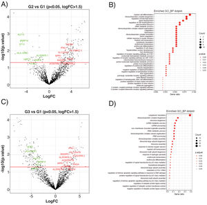 Differential expression analysis of EEVs in control (G1), subclinical atherosclerosis (G2) and PAD patients (G3). (A) Volcano plot showing the differentially expressed genes (DEG) of the contrasts performed by LimmaVoom for G2 vs G1. In green those with a fold-change (log2FC) lower than −1.5 and in red the ones with log2FC higher than 1.5 and a p-value <0.05. (B) Gene ontology (GO) analysis for biological processes with the 177 transcripts differentially expressed in G2 vs G1. (C) Volcano plot for the contrasts performed by LimmaVoom for G1 vs G3 to identify DEG. In green those with a log2FC <−1.5 and in red the ones with a log2FC >1.5 and a p-value <0.05. (D) GO analysis for biological processes with the 188 transcripts differentially expressed in G3 vs G1.