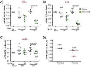Gene expression of UCP2 on endothelial cells in response to proinflammatory and atherogenic stimuli in vitro. (A and B) TeloHAECs UCP2 mRNA levels were significantly downregulated 12h after stimulation with either 10ng/mL TNFα (A) or 10ng/mL IL-1β (B) (n=6/condition). (C and D) Endothelial UCP2 expression was reduced 24h after treatment with 100μg/mL oxLDL (n=6/condition) and in hypoxia (1% O2) (n=3/condition).