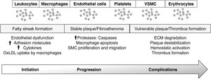 EVs in vascular inflammation and atherosclerosis. EVs are released by all cellular components of the vascular wall and blood and participate in all steps of atherosclerosis; initiation (fatty streak formation), development (stable plaque/fibroatheroma), and progression and rupture (vulnerable plaque/thrombus formation). VSMC: smooth muscle cells.