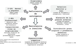 Modificaciones metabólicas durante la menopausia. La menopausia está marcada por una serie de cambios en los factores de riesgo cardiometabólicos cuya base fisiopatológica está del todo aclarada, aunque se conoce que la resistencia a la insulina puede ser uno o parte del conjunto de los mecanismos responsables de los cambios metabólicos. Fuente: citas Maas et al.3, Vogel et al.4, Ryczkowska et al.34 y El Khovdary et al.51.