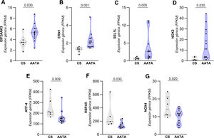 Expresión génica diferencial de marcadores del estrés del retículo endoplasmático (ERS) y de la subunidad catalítica del complejo NADPH oxidasa en el aneurisma de aorta torácica ascendente (ATAA) de pacientes. A-D. Los genes EIF2AK3, ERN1, SEL1L y NOX2 se encontraron significativamente aumentados en el grupo de pacientes, mientras que la expresión de los genes ATF-4, HSPA5 y NOX4 (E-G) se encontró disminuida. Los estudios se realizaron en muestras de aorta ascendente de pacientes con AATA (n=13) y controles sanos ([CS] n=6). Se utilizó la prueba de suma de rangos de Wilcoxon para evaluar las diferencias entre grupos. El valor de p<0,05 se consideró estadísticamente significativo.