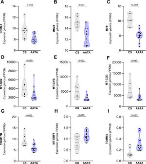 Expresión génica diferencial de marcadores relacionados con la disfunción mitocondrial en el aneurisma de aorta torácica ascendente (AATA) de pacientes. A-G. La expresión de los genes DNML1, IMMT, MFF, MT-CO3, MT-CYB, MT-ND2 y TIMM17B se encontró disminuida significativamente en el grupo de pacientes, mientras que la expresión de los genes MT-ERF1 y TOMM5 (H e I) se encontró aumentada. Los estudios se realizaron en muestras de aorta ascendente de pacientes con AATA (n=13) y controles sanos ([CS] n=6). Se utilizó la prueba de suma de rangos de Wilcoxon para evaluar las diferencias entre grupos. Un valor de p<0,05 se consideró estadísticamente significativo.