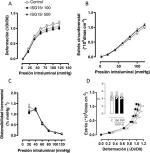 Efecto de ISG15 recombinante (ISG15r) en la mecánica de arterias mesentéricas. Deformación (A), estrés circunferencial (B), distensibilidad incremental (C) y relación estrés-deformación (D) de arterias mesentéricas procedentes de ratones C57BL6/J infundidos o no (control) con ISG15r a las dosis de 100 y 500ng/día durante 14 días. n=8. El parámetro β representa la pendiente de la relación estrés-deformación. La n está representada por el número de puntos en cada caso y constituye distintos animales.