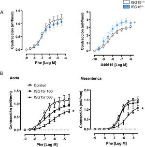 Papel de ISG15 en la contractilidad vascular. (A) Respuesta contráctil a fenilefrina (Phe) o al análogo de tromboxano A2, U46619 en segmentos de aorta procedentes de ratones ISG15+/+ e ISG15−/−. (B) Respuesta contráctil a fenilefrina (Phe) en segmentos de aorta y arterias mesentéricas procedentes de ratones C57BL6/J infundidos o no (control) con ISG15r a las dosis de 100 y 500ng/día durante 14 días. n=5-7. *p<0,05 vs. ISG15+/+ por ANOVA de dos vías vs. ISG15+/+ o ratones control.