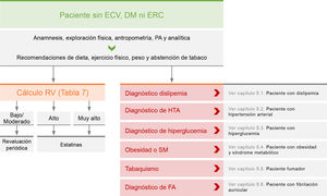 Recomendaciones de manejo clínico del riesgo vascular en pacientes sin enfermedad vascular establecida, diabetes mellitus (DM) ni insuficiencia renal crónica (ERC). ECV: enfermedad cardiovascular; FA: fibrilación auricular; HTA: hipertensión arterial; PA: presión arterial; RV: riesgo vascular; SM: síndrome metabólico.