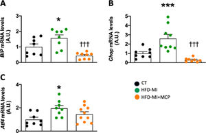 Effect of modified citrus pectin on cardiac endoplasmic reticulum stress activation in obese infarcted rats. Gene expression of (A) binding immunoglobulin protein (BiP), (B) CCAAT-enhancer-binding homologous protein (Chop) and (C) activating transcription factor 4 (Atf4) in heart of rats subjected to a sham operation (CT) and obese rats submitted to myocardial infarction treated with vehicle (HFD-MI) or with modified citrus pectin (MCP: 100mg/kg/day; HFD-MI+MCP). Bars graphs represent the mean±SEM of 7–10 animals. *p<0.05, ***p<0.001 versus CT group. †††p<0.001 versus HFD-MI group.