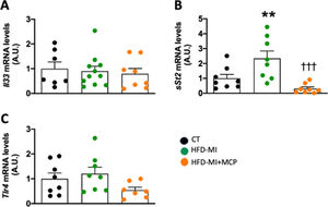 Effect of modified citrus pectin on cardiac inflammation in obese infarcted rats. Gene expression of (A) Interleukin 33 (Il33), (B) soluble circulating receptor (sSt2) and Toll-like receptor 4 (Trl4) in heart of rats subjected to a sham operation (CT) and obese rats submitted to myocardial infarction treated with vehicle (HFD-MI) or with modified citrus pectin (MCP: 100mg/kg/day; HFD-MI+MCP). Bars graphs represent the mean±SEM of 7–10 animals. **p<0.01 versus CT group. †††p<0.001 versus HFD-MI group.