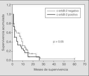 Curva de supervivencia según la expresión inmunohistoquímica de c-erbB-2.