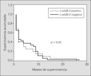 Curva de supervivencia de los pacientes con enfermedad diseminada según la expresión de c-erbB-2.
