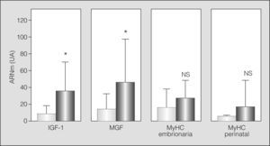 Expresión en transcriptoma de diferentes marcadores de microlesión/estrés celular e inicio del proceso regenerativo: factor de crecimiento similar a la insulina de tipo 1 (iGF-1), factor de crecimiento mecánico (MGF) e isoformas no adultas de las cadenas pesadas de miosina (MyHC embionaria y fetal). Nuevamente las barras claras representan a los sujetos sanos, y las barras oscuras, a los pacientes con EPOC. NS: no significativo; UA: unidades arbitrarias. *p < 0,05.