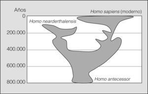 Evolución de los homínidos más recientes en nuestro continente. Puede verse la coexistencia de Homo neanderthalensis y Homo sapiens.