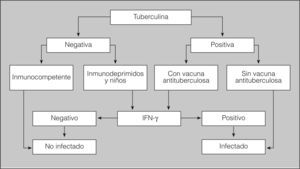 Algoritmo de utilización conjunta de la prueba de la tuberculina y las técnicas in vitro del interferón gamma (IFN-γ) en el diagnóstico de la infección tuberculosa.