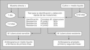 Estudio de laboratorio de resistencias de microbacterias. h: isoniacida; R: rifampicina.