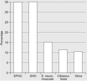 Distribución de las enfermedades de los pacientes ventilados en situación crónica en los servicios de neumología. EPOC: enfermedad pulmonar obstructiva crónica; NM: enfermedad neuromuscular; SHO: síndrome de obesidad-hipoventilación.