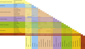 Matriz fenotípica multidimensional de EPOC. Cada celda incluye las referencias bibliográficas más relevantes sobre la interrelación de los rasgos fenotípicos interseccionados. FEV1: volumen espiratorio forzado en el primer segundo; FVC: capacidad vital forzada; DLCO: difusión alveolar de monóxido de carbono corregida para el volumen alveolar; PaCO2: presión arterial de anhídrido carbónico; PaO2: presión arterial de oxígeno.