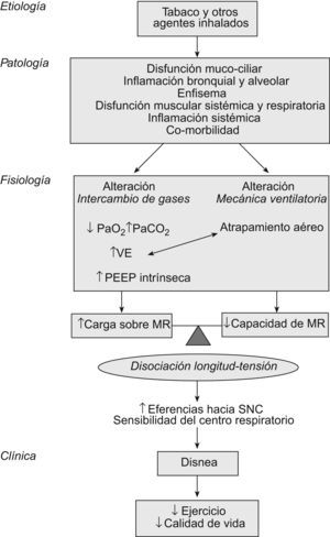 Modelo fisiopatológico de la disnea y limitación en la capacidad de ejercicio en la EPOC. MR: músculos respiratorios; PaCO2: presión arterial de anhídrido carbónico; PaO2: presión arterial de oxígeno; PEEP: presión teleespiratoria positiva; SNC: sistema nervioso central; VE: ventilación minuto.