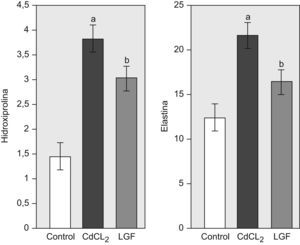 Cambios en las variables bioquímicas en todos los grupos experimentales. Grupo control (n=6), grupo CdCl2 (n=7) y grupo LGF (n=7). Hipodroxiprolina (mg/pulmón) y elastina (mg/pulmón) CdCl2: cloruro de cadmio; LGF: liver growth factor ‘factor de crecimiento de hígado’ ap<0,05 versus control. bp<0,05 versus CdCl2.