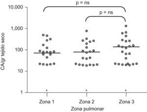 Depósito pulmonar de amianto en las diferentes zonas estudiadas.