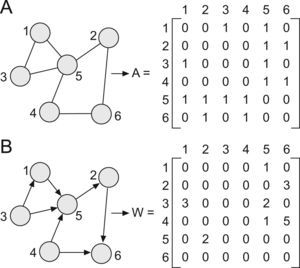 Representación en forma de grafo de una red. Un grafo G es un par G (V,E), donde V es un conjunto finito de puntos llamados vértices o nodos y E un conjunto de aristas o enlaces que conectan a los nodos de un grupo. Los enlaces pueden ser no dirigidos (simples) o dirigidos (las conexiones entre los nodos poseen un sentido). Todo grafo puede representarse mediante una matriz y el contenido de esta depende de los enlaces asociados. Existen 2 tipos de matrices: la matriz adyacente (A) y la matriz de peso (W). Cada elemento de la matriz A expresa la presencia (1) o ausencia (0) de una conexión entre nodos en una red no dirigida (fig. 2.A); nótese además que mientras que el nodo 5 tiene 4 conexiones con el resto de los elementos de la red, el número de enlaces de los demas vértices es solo de 2. La matriz W resume la fuerza de cada conexión en una red dirigida; por ejemplo, la conexión dirigida desde el 2–6 (w26=3) es más débil que la existente desde el 4–6 (w46=5) (fig. 2.B).