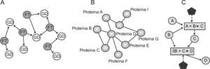 Esquema de 3 tipos de redes biológicas: A) una red reguladora transcripcional con 2 componentes (factor de transcripción y genes diana); B) una red de interacción proteina proteina (2 proteinas están conectadas si existe acoplamiento entre ellas), y C) una red metabólica construida considerando los reactantes, las reacciones químicas y los enzimas. FT: factor de transcripción; GD: genes diana; E1 y E2: enzimas 1 y 2.