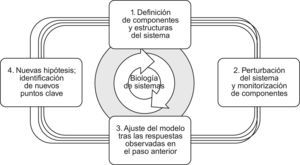 Diagrama del proceso de la biología de sistemas (véase texto).