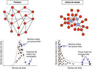 Distribución de Poisson o normal y distribución libre de escala Cortesía del Dr. M. Perpiñá.