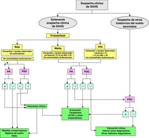 Algoritmo de actuación ante la sospecha SAHS. PR: poligrafía respiratoria (ya sea a domicilio o en el hospital). PSG: polisomnografía convencional.