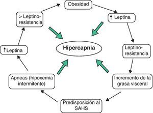 Leptina e hipoventilación en el obeso. Probables interacciones fisiopatológicas.