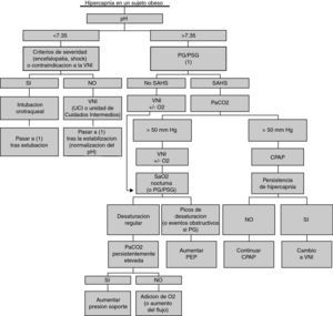 Algoritmo para el manejo de una hipercapnia en el paciente obeso. CPAP: presión positiva continua en la vía aérea; HVO: hipoventilación vinculada a la obesidad; PSG: polisomnografía; SAHS: síndrome de apnea obstructiva del sueño; TRVS: trastornos respiratorios vinculados al sueño; VNI: ventilación no invasiva. Modificado de Rabec et al114, con autorización.