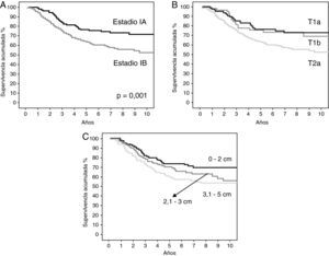 A: curvas de supervivencia de los pacientes según el método de Kaplan-Meier en función del estadio patológico y la diferencia estadística encontrada. B: curvas de supervivencia de los pacientes según el método de Kaplan-Meier en función de la categoría T; se encontraron diferencias estadísticamente significativas entre las curvas de supervivencia del T1a y el T2a (p=0,005), y entre las curvas de supervivencia del T1b y el T2a (p=0,049); no se alcanzó la significación estadística entre las curvas del T1a y T1b (p=0,68). C: curvas de supervivencia de los pacientes según el método de Kaplan-Meier en función del tamaño tumoral; se encontraron diferencias estadísticamente significativas entre las curvas de supervivencia de 0-2cm y 3,1-5cm (p=0,01); no se alcanzó la significación estadística entre las curvas de supervivencia de 0-2cm y 2,1-3cm (p=0,13), y entre las curvas de supervivencia de 2,1-3cm y 3,1-5cm (p=0,28).