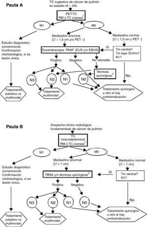 Pautas de estadificación del cáncer de pulmón. A) RM craneal para pacientes candidatos a tratamiento radical en estadio III. B)Técnicas quirúrgicas: se incluyen mediastinoscopia, mediastinotomía, mediastinoscopia cervical extendida, toracoscopia, linfadenectomía mediastínica transcervical extendida (TEMLA) y linfadenectomía mediastínica videoasistida (VAMLA). Notas: a) Se considerará negativo el resultado de la EBUS solo si, después de al menos tres punciones con presencia de linfocitos, no se observan células malignas. b) La pauta B puede ser aceptable en los centros sin accesibilidad a PET, EBUS ni EUS. c) El límite de 1,5cm para el tamaño de los ganglios mediastínicos en la pauta A se fundamenta en un metaanálisis (ver texto y referencia 14), El límite de 1cm (pauta B) es el empleado tradicionalmente.
