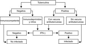 Algoritmo de utilización conjunta de la prueba de la tuberculina y las técnicas in vitro del interferón gamma (IFN-γ) en el diagnóstico de la infección tuberculosa. Fuente: Juan Ruiz-Manzano et al. Diagnóstico y tratamiento de la tuberculosis. Arch Bronconeumol. 2008;44:551-66.