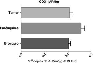 Expresión de la ARNm de la COX-1 en el tumor, el parénquima pulmonar y los bronquios de los pacientes EPOC con cáncer bronquial (n=44). Se representan las medias con los errores típicos de la media. La expresión del ARNm se muestra en forma de número de moléculas con respecto al ARN total. No hubo diferencias estadísticamente significativas.