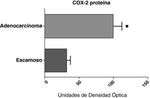 Expresión de la proteína de la COX-2 en los adenocarcinomas (n=17) y los carcinomas escamosos27. Se representan las medias con los errores típicos de la media. La proteína se expresa en forma de unidades de densidad óptica. ¿ p<0,01.