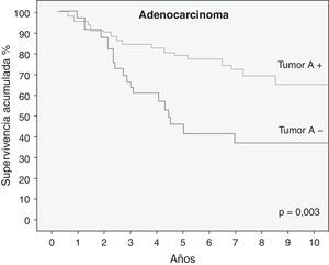 Resultados de supervivencia según el método de Kaplan-Meier de los pacientes con adenocarcinoma en función de la expresión del antígeno del GSA.