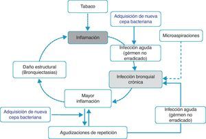 Hipótesis inflamación-infección-BQ.