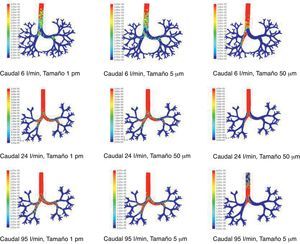 Resultados de la simulación mediante dinámica computacional de fluidos (CFD) del comportamiento de partículas de distintos tamaños (1pm, 5μm y 50μm) que son arrastradas por caudales de 6, 24 y 95l/min. Las zonas en rojo indican alta densidad de partículas atrapadas. Puede observarse que conforme aumenta el tamaño de las partículas y el caudal, tienden a quedar atrapadas en mayor cantidad en regiones más centrales de la vía aérea debido al comportamiento de choque.