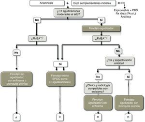 Algoritmo diagnóstico de los fenotipos clínicos. FMEA: fenotipo mixto EPOC-asma.