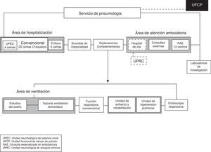 Representación esquemática del organigrama del Servicio de Neumología. Fuente: Cots et al.9.