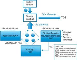 Orígenes y vías neurológicas del reflejo de la tos.