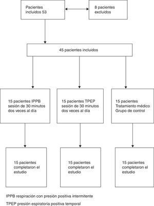 Flujo de pacientes. IPPB: respiración con presión positiva intermitente; TPEP: presión espiratoria positiva temporal.