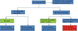 Estado de vacunación de los casos de ENI y descripción de serotipos.
