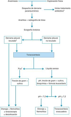 Algoritmo para el tratamiento del derrame paraneumónico. aEn todos los casos se debe de comenzar con un tratamiento antibiótico empírico temprano, para ajustarlo luego al resultado de los cultivos. bLa presencia de loculación también se puede basar en los hallazgos de la tomografía computarizada o de la radiografía torácica. cTambién si el líquido pleural es turbio o maloliente.