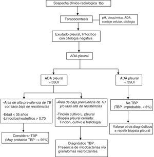 Algoritmo diagnóstico para los pacientes con sospecha de tuberculosis pleural.