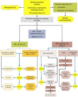 Algoritmo de manejo del NP: Clasificación inicial y pauta de observación en NPS≤8mm y NPS subsólidos. m: meses; NP: nódulo pulmonar; NPS: nódulo pulmonar solitario; TC: tomografía computarizada torácica, incluyendo cortes finos. Seguimiento con TC de baja radiación, siempre que no se detecte crecimiento. Los números y letras entre paréntesis hacen referencia a los apartados del texto en que son comentados.