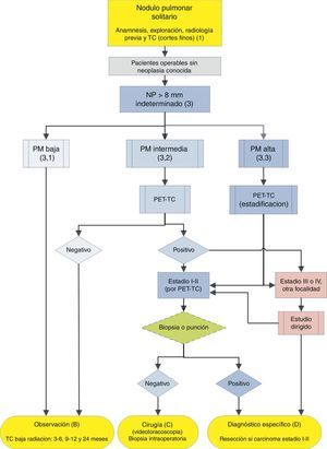 Algoritmo de manejo del NP>8mm: Ámbito clínico con fácil acceso a una PET-TC. m: meses; NP: nódulo pulmonar; PET-TC: tomografía de emisión de positrones con tomografía computarizada; PM: probabilidad de malignidad; TC: tomografía computarizada torácica, incluyendo cortes finos. Observación con TC de baja radiación, siempre que no se detecte crecimiento. Los números y letras entre paréntesis hacen referencia a los apartados del texto en que son comentados.