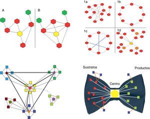 Panel superior-izquierda. Se representan 2 redes biológicas con su correspondiente nodo central (amarillo) y distinto coeficiente de agrupamiento: la red A es de 2/5 (2 conexiones de las 5 potencialmente posibles); la red B es de 1 (todas las conexiones posibles están presentes). Panel superior-derecha. Se representan los 4 tipos principales de redes (diagramas de grafos). Los hexagonales representan los nodos y las líneas las conexiones. 1a, red aleatoria: las conexiones entre los nodos se establecen al azar. 1b, red regular: todos los nodos tiene el mismo número de conexiones (en el ejemplo es 2). 1c, red de mundo pequeño: es similar a la red regular pero existen «caminos» más cortos que se representan con las líneas azules. 1d, red libre de escala: existen nodos que son más importantes pues reciben más conexiones (en el ejemplo el amarillo es el nodo más importante, y los naranja tienen una importancia un poco menor) y se establecen subgrupos independientes. Panel inferior-izquierda. Se representan los sistemas biológicos. Son redes libres de escala con características particulares, en especial la presencia de módulos relativamente independientes y una organización jerárquica. En el esquema se representan el origen de la red en el módulo «amarillo» central, que es jerárquicamente el superior y por tanto el de mayor número de conexiones. Otros 3 (celeste, verde y azul) corresponden a módulos de menor jerarquía, que podrían vincularse a determinadas funciones. Por último, el módulo marrón, que es el de menor jerarquía. La mayoría de las especies conservan los módulos de mayor jerarquía (en este caso el amarillo), pues están vinculados a procesos esenciales para la vida. Contrariamente, los módulos de menor jerarquía, por ejemplo el marrón, son los que explican la diferencia entre las especies y los que permiten la adaptación a circunstancias o ambientes particulares. En verde se representa un módulo cuyo encendido o apagado depende de un patrón temporal o ambiental. Panel inferior-derecha. Se representa la estructura en forma de «pajarita» de las redes metabólicas. Están conformadas por 4 partes: (a) bloques rojos, nodos de sustratos; (b) bloques verdes, nodos de productos; (c) bloques azules, nodos independientes; y (d) el hexágono central, correspondiente al giant strong component, que incluye las vías metabólicas más importantes, como la glucólisis o el ciclo de Krebs. Los colores indicados se aprecian como escala de grises. Puede apreciarse esta figura a todo color únicamente en la versión electrónica del artículo.