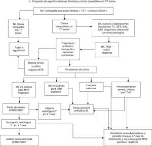 Propuesta de algoritmo de actuación en lesiones fibróticas y clínica compatible con TP activa. BAL: lavado broncoalveolar; BAS: broncoaspirado; BFS: broncofibroscopia; BK: baciloscopia de esputo; IGRA: Interferon Gamma Release Assay; MTB: Mycobacterium tuberculosis; NAAT: Nucleic Acid Amplification Test; PCR: Reacción en cadena de la polimerasa; RxT: radiografia de tórax; TC: tomografía computarizada de tórax; TP: tuberculosis pulmonar; TST: Tuberculin Skin Test.